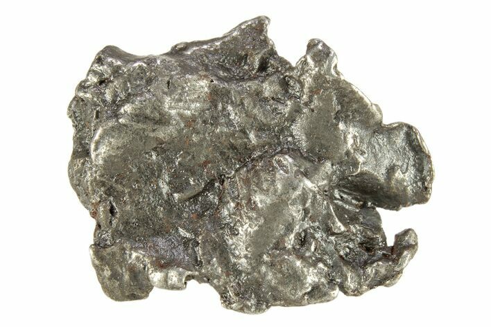 Sikhote-Alin Iron Meteorite Shrapnel ( g) - Russia #267510